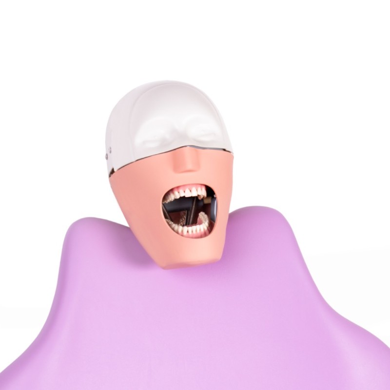 Fantoma Dental Completo Bader con Anclaje a Sillón