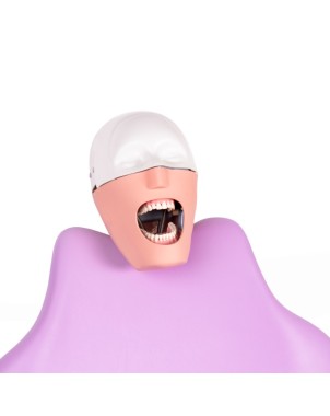 Fantoma Dental Completo Bader con Anclaje a Sillón