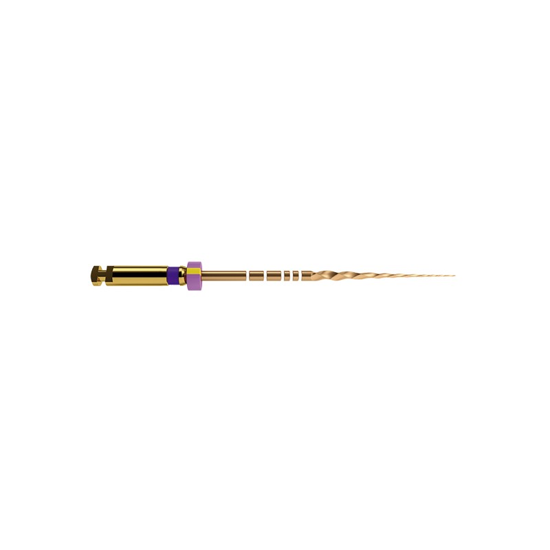 PROTAPER GOLD 21 mm S1 limas preparacion 6 ud