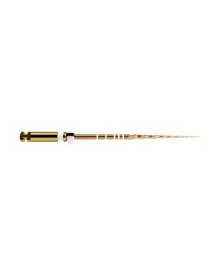 PROTAPER GOLD 25 mm S2 limas preparacion 6 ud