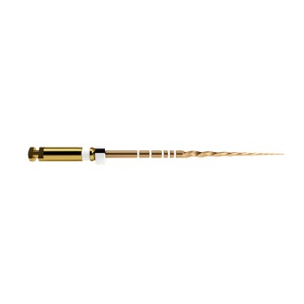 PROTAPER GOLD 31 mm S2 limas preparacion 6 ud