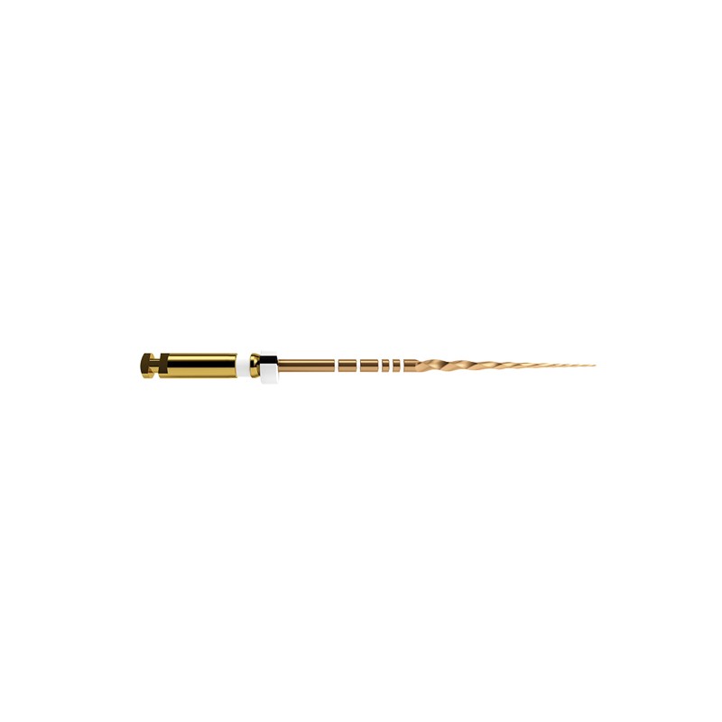PROTAPER GOLD 31 mm S2 limas preparacion 6 ud