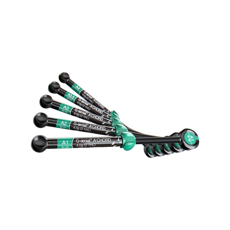 AO3 GAENIAL ACHORD JER. 4g. 10006749