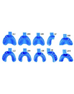 CUBETA DESECHABLE MESTRA superior mediana 25 ud