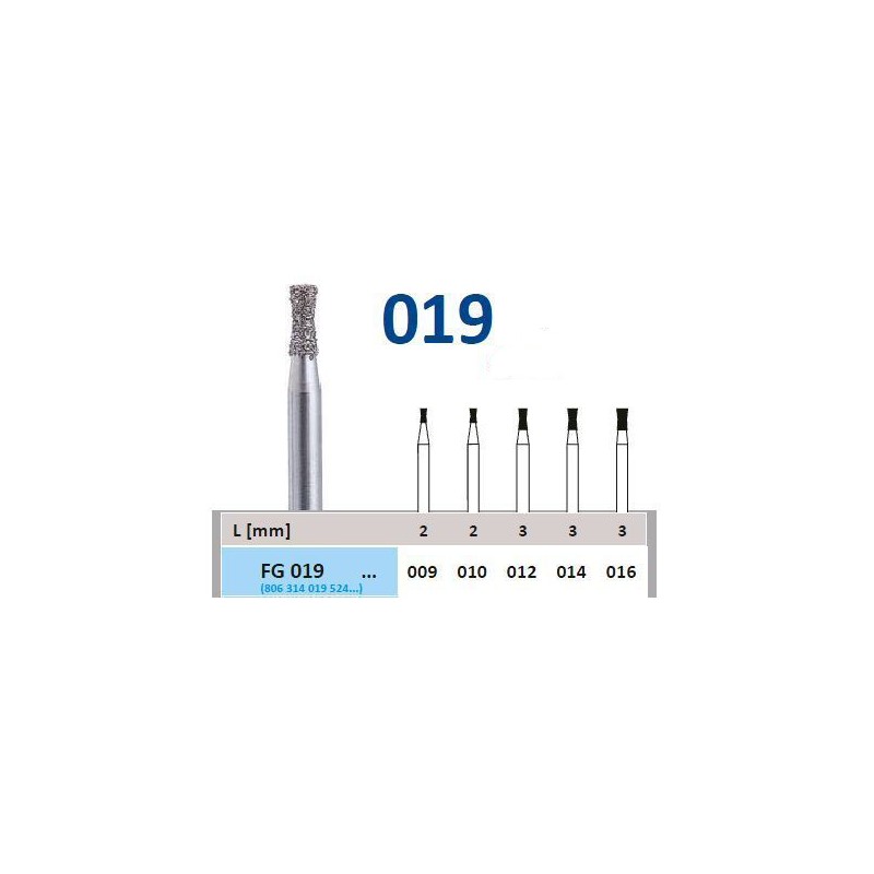 019-010 FGSS DIAMAN.FIG.806 5u