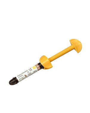 FILTEK P60 C2 jer 4 g