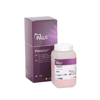 PALADUR transparente polvo 1 kg