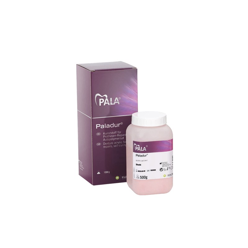 PALADUR transparente polvo 1 kg