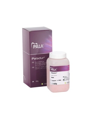 PALADUR transparente polvo 1 kg