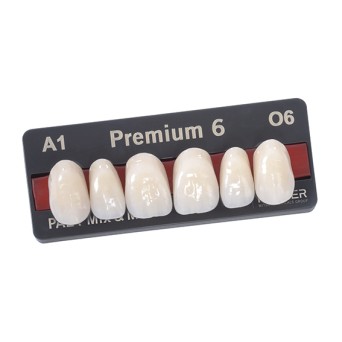 PREMIUM ant sup T2 A4