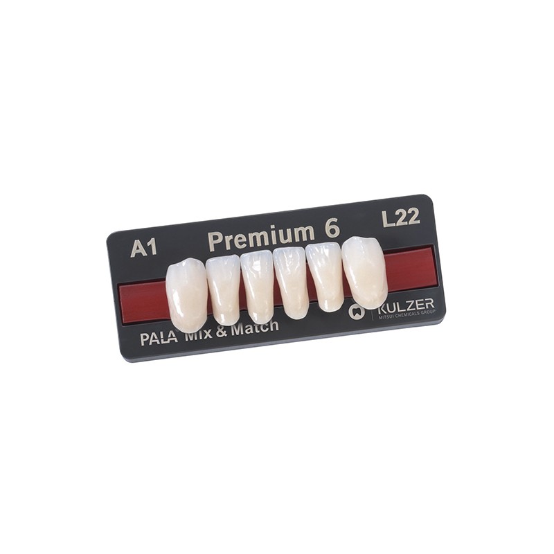 PREMIUM ant inf L14 C1