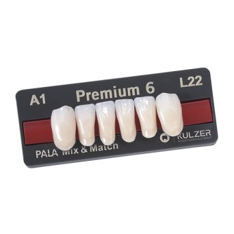 PREMIUM ant inf L20 D2