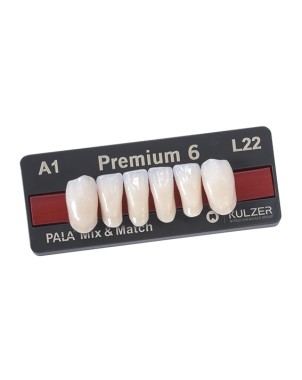 PREMIUM ant inf L24 A3