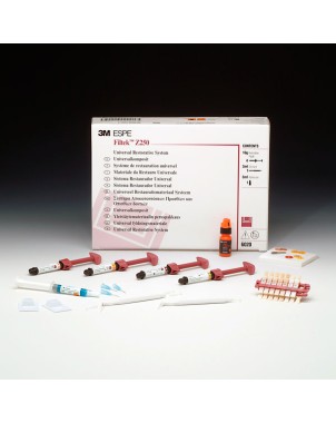 6020 FILTEK Z250 JERINGAS KIT INTRODUCCION