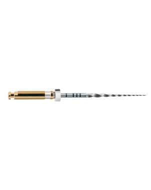 LIMAS PROTAPER GOLD S2 25mm. 6u. (A0410-2)