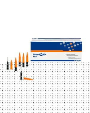 GRANDIO SO FLOW CAPS 16x0,25gr. A3 2744