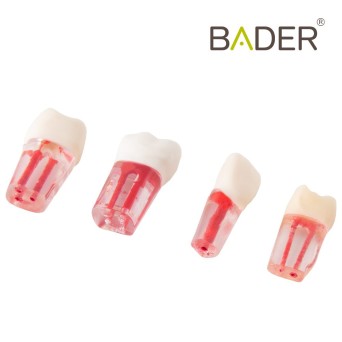 Set de Dientes Transparentes para Endodoncia Bader