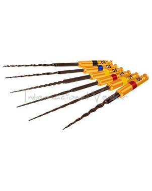 HYFLEX CM NITI 30/04  25 mm.