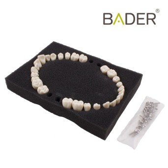 Dientes reposición tipo Ana4 BADER
