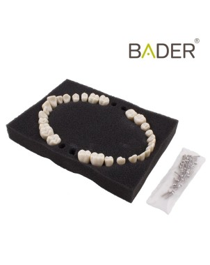 Dientes reposición tipo Ana4 BADER
