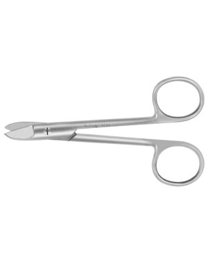 SCGS/12cm.TIJ.CURVA CORONA