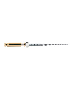 LIMAS PROTAPER GOLD S2 31mm. 6u. (A0410-2)