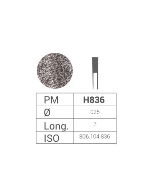 Fresas de Diamante HP ISO.806.104.001.836.025 BADER