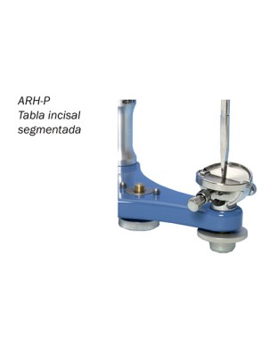 TABLA INCISAL DENTATUS ARH P segmentada