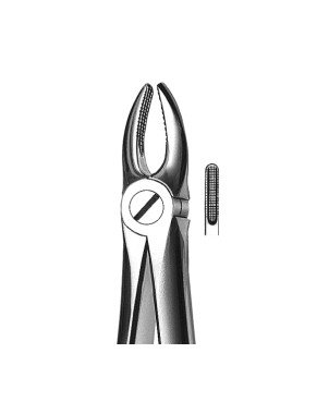 FORCEPS KDM 01 maxilar sup incisivos