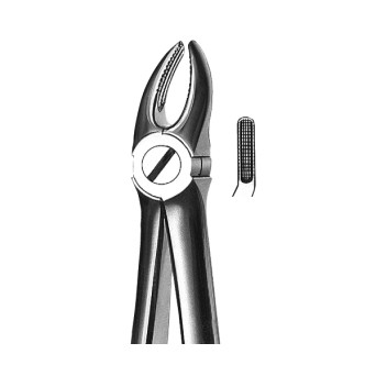 FORCEPS KDM 07 maxilar sup premolares