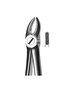 FORCEPS KDM 07 maxilar sup premolares