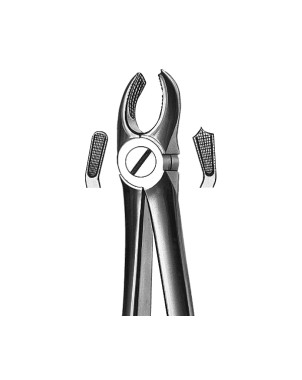 FORCEPS KDM 17 maxilar sup molares derechos