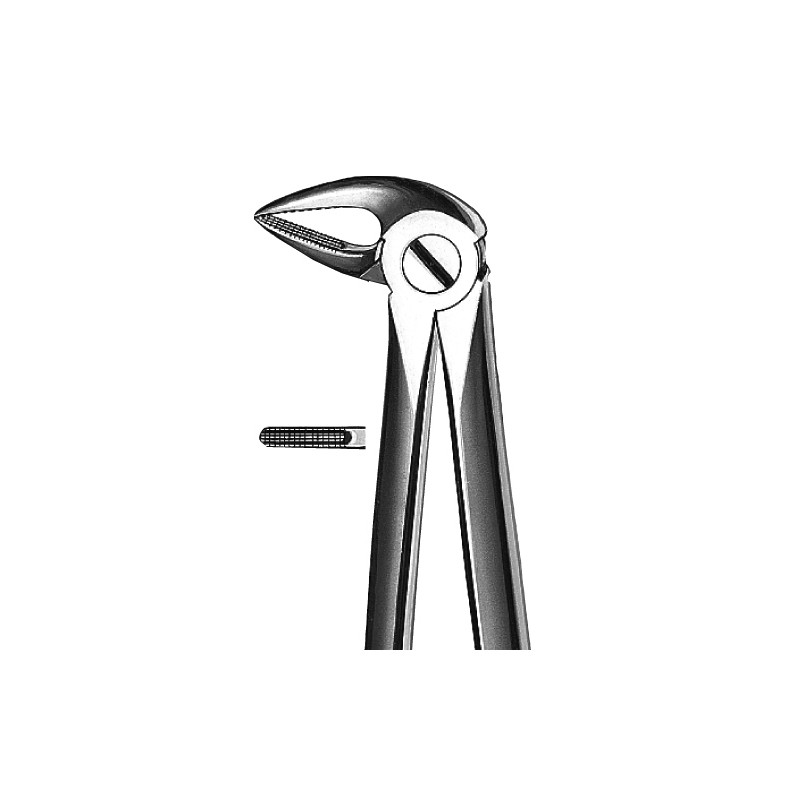 FORCEPS KDM 33A maxilar inf raices