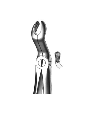 FORCEPS KDM 67A maxilar sup cordales