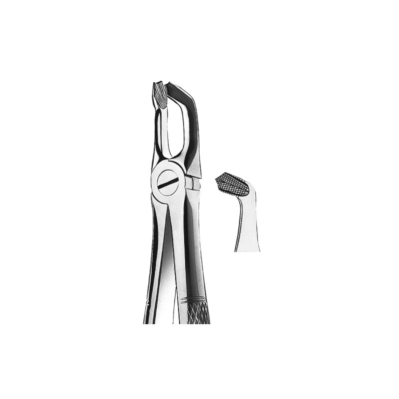 FORCEPS KDM 79 maxilar inf cordales