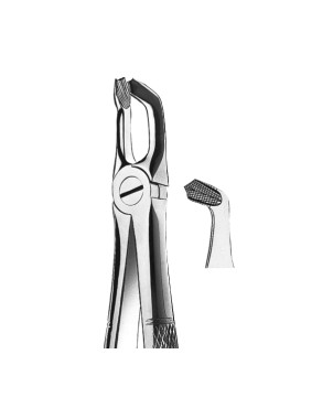 FORCEPS KDM 79 maxilar inf cordales