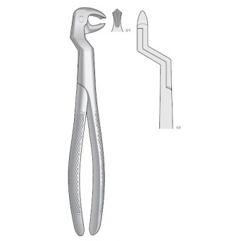 FORCEPS BONTEMPI rotador molar dx