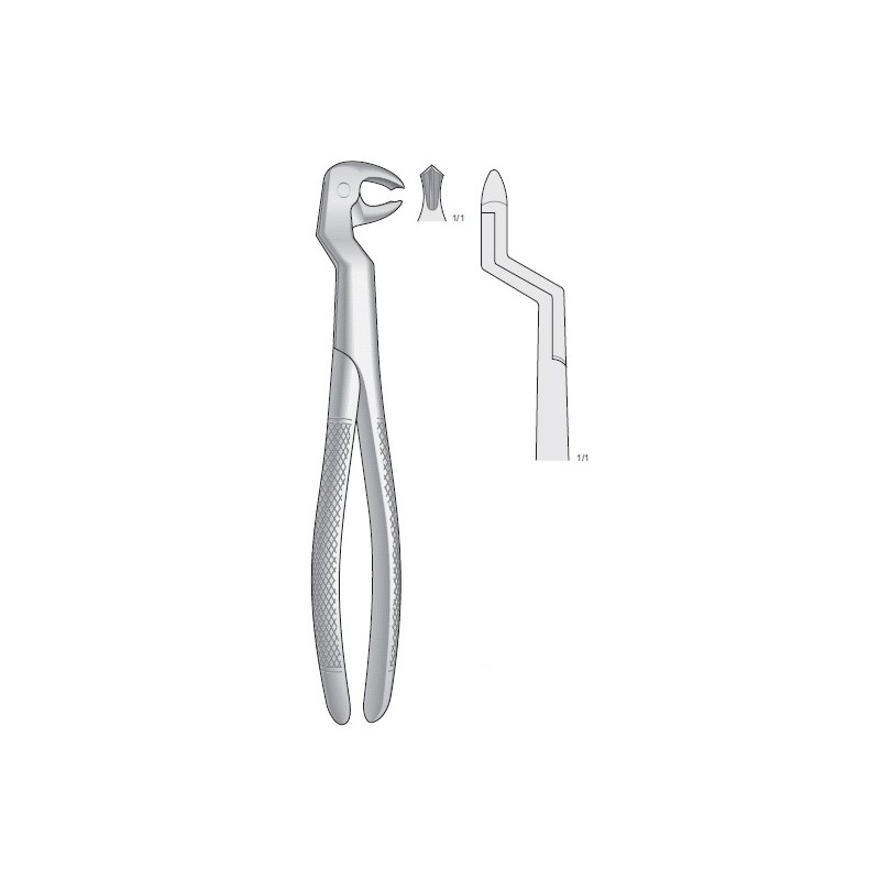 FORCEPS BONTEMPI rotador molar dx