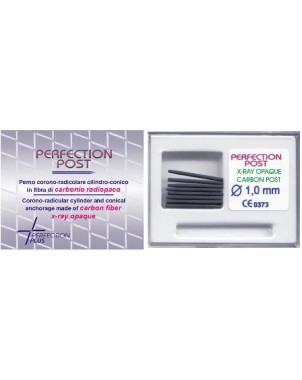 PERFECTION POST carbono 1,6 mm 10 ud