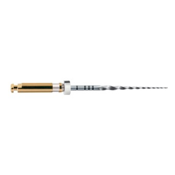 LIMAS PROTAPER GOLD S2 31mm. 6u. (A0410-2)