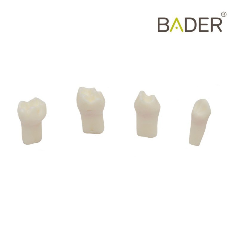 Set de Dientes para Pulpotomia para AK6 Bader