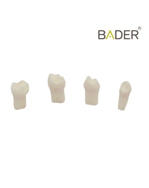 Set de Dientes para Pulpotomia para AK6 Bader