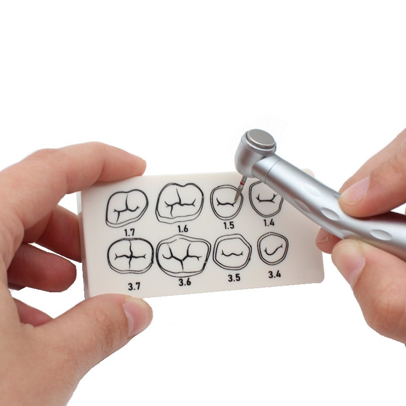Placa de preparación dental Bader