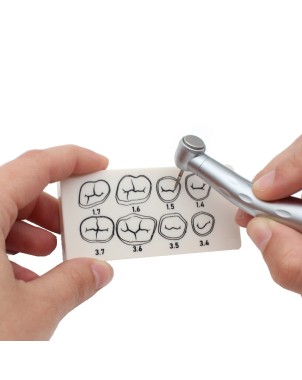 Placa de preparación dental Bader