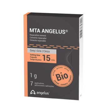 CEMENTO REPARADOR MTA GRIS ANGELUS 1gr.
