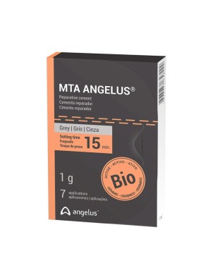 CEMENTO REPARADOR MTA GRIS ANGELUS 1gr.