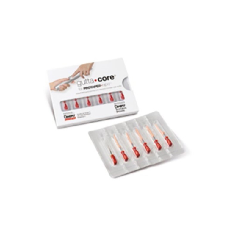 GUTTACORE PINK BLISTER P/PROTAPER NEXT X2 6u.