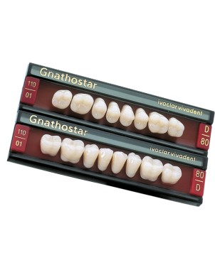 GNATHOSTAR post inf D84 6D