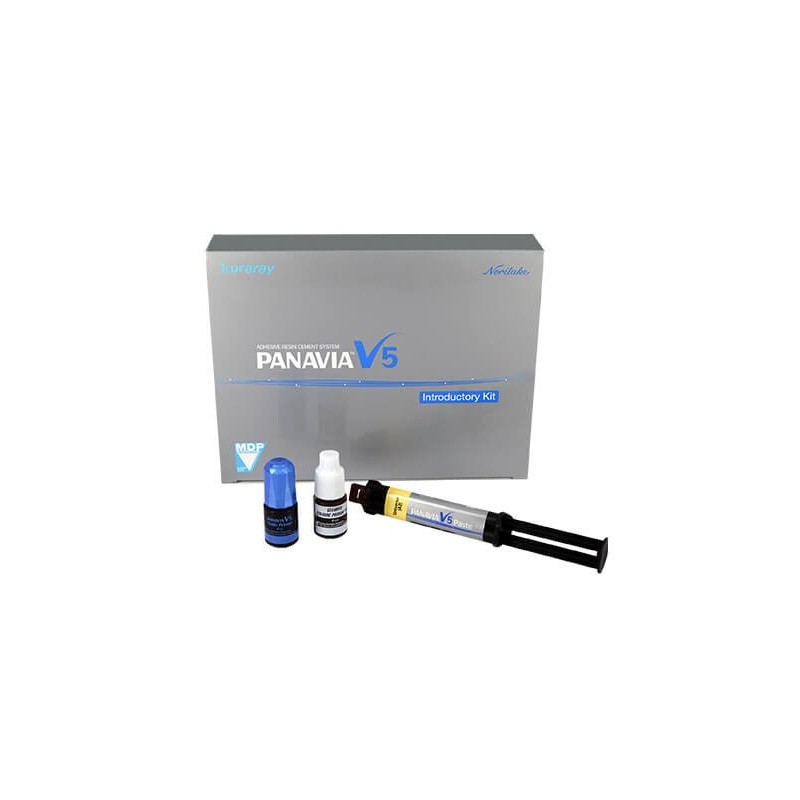 PANAVIA V5 clear kit intro