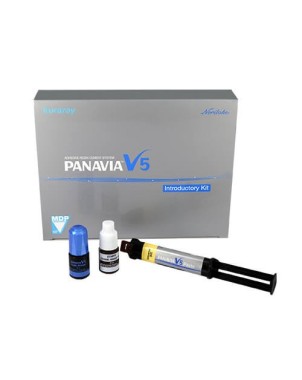 PANAVIA V5 clear kit intro